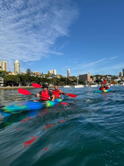 Harbour Sunrise Kayak Tour