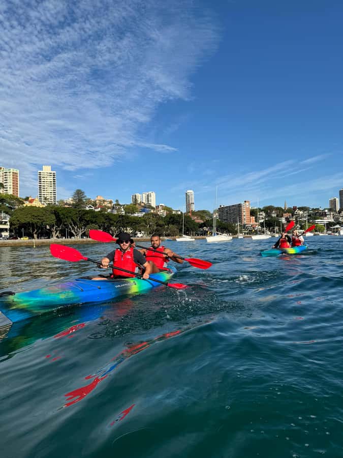 Sydney: Harbour Sunrise Kayak Tour - Starting at d’Albora Marinas Rushcutters Bay