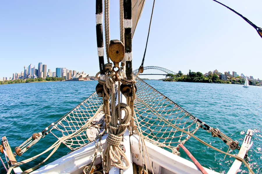 Sydney Harbour: Tall Ship Afternoon Cruise - Who will enjoy this cruise most