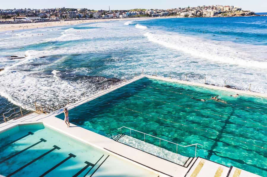 Sydney Harbour to Bondi: Small Group Half–Day Experience - Why this four-hour route works so well