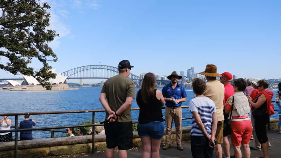 Sydney Harbour to Bondi: Small Group Half–Day Experience - Morning or afternoon: choosing the better departure