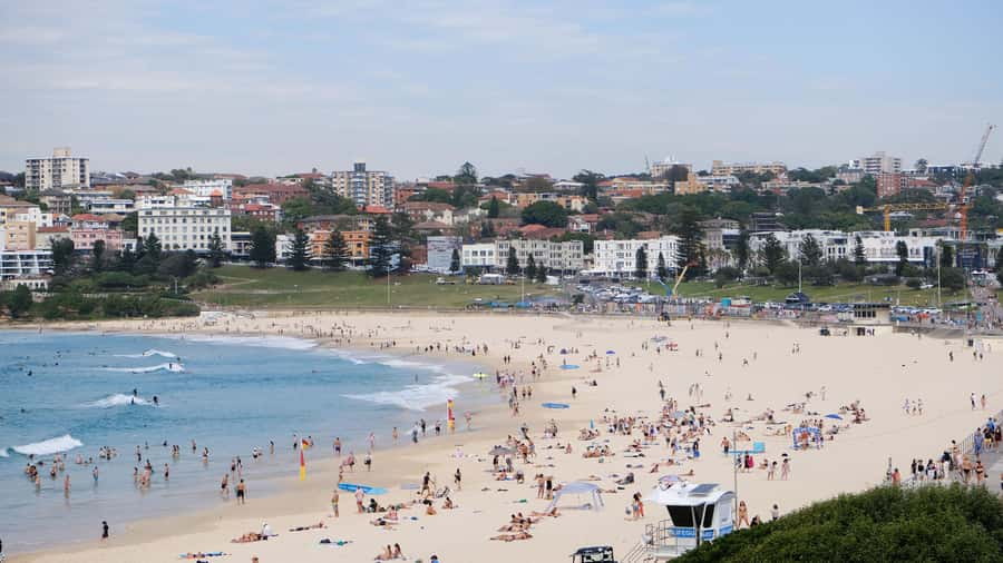Sydney Harbour to Bondi: Small Group Half–Day Experience - Double Bay and Kings Cross complete the neighborhood tour