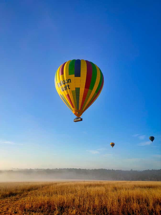 Sydney: Hunter Valley Sunrise Balloon Flight with Transfer - Key points at a glance