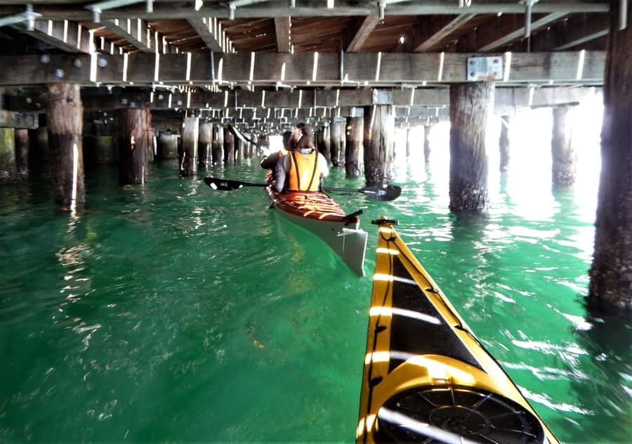 Sydney: Kayak to Goat Island At The Heart of Sydney Harbour - The paddle back via Darling Harbour