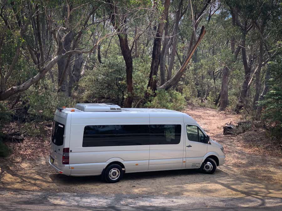 Sydney: Luxury Blue Mountains Adventure with Wentworth Falls - Should you book it?