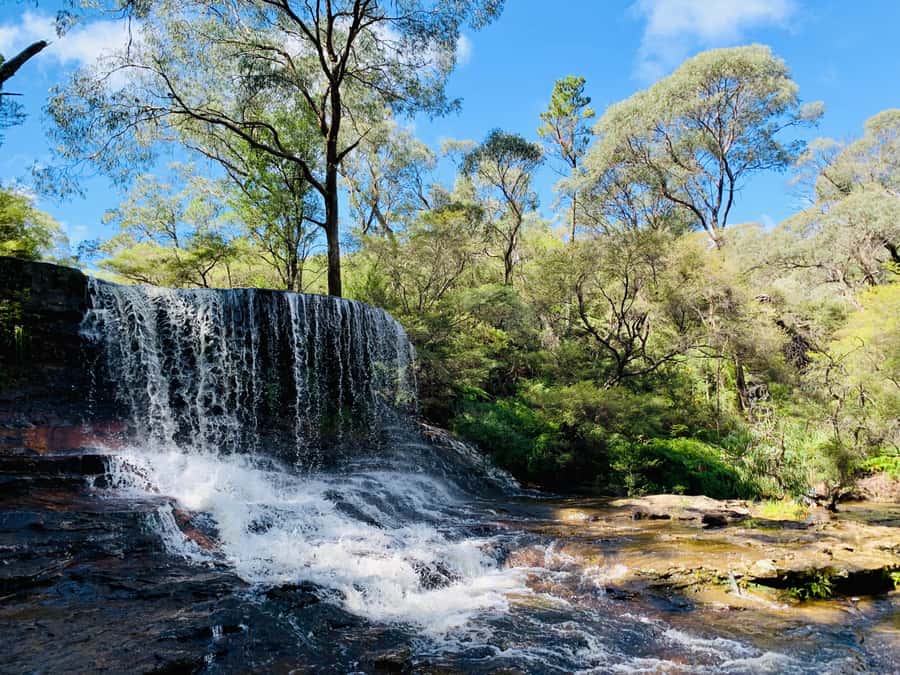Sydney: Luxury Blue Mountains Adventure with Wentworth Falls - A useful but brief break in Leura