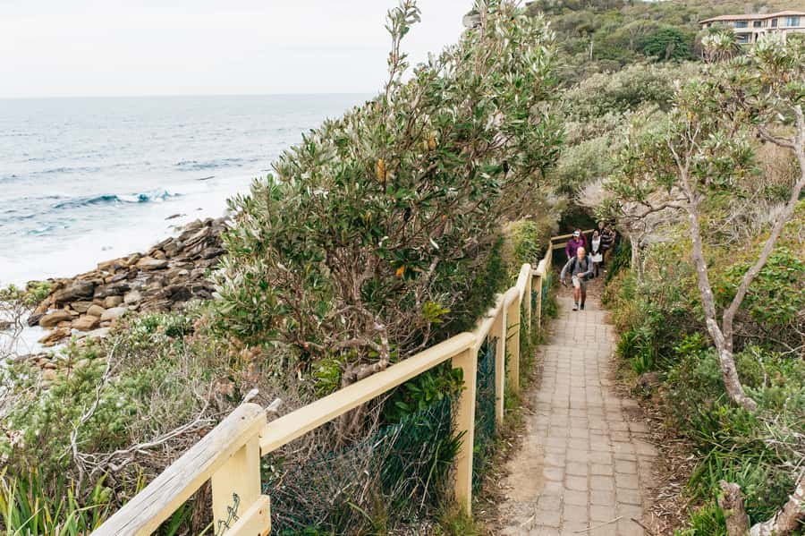 Sydney: Manly and Shelly Beach Snorkeling Tour - Should you book the Manly snorkeling tour?