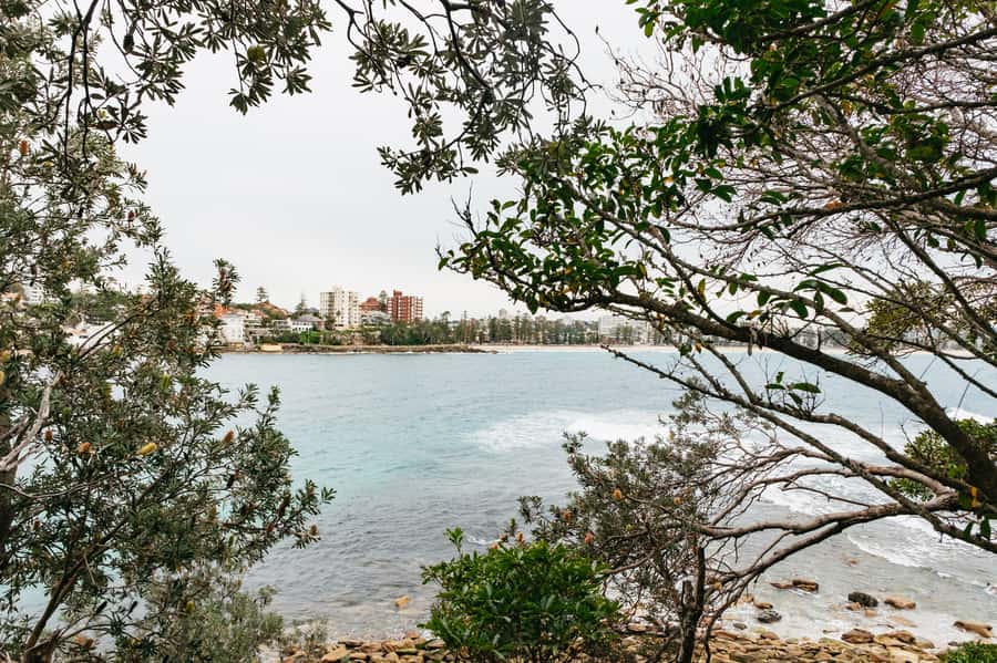 Sydney: Manly and Shelly Beach Snorkeling Tour - How the small group changes the experience
