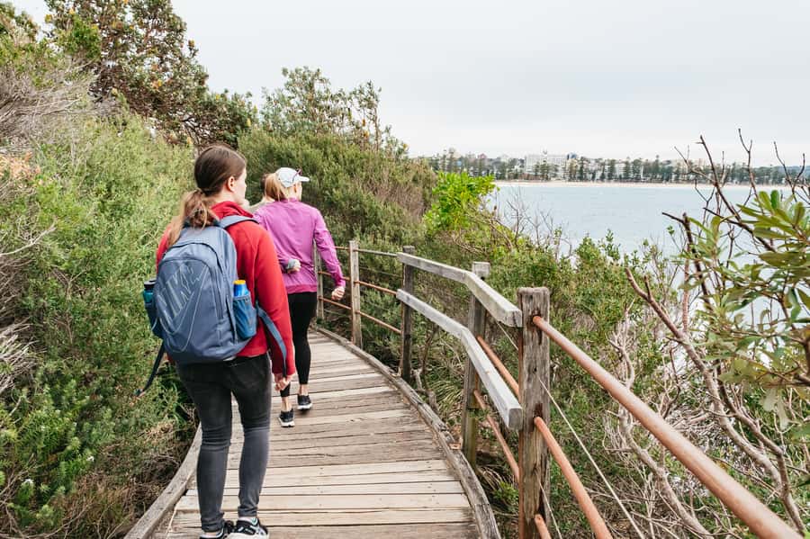 Sydney: Manly and Shelly Beach Snorkeling Tour - Who will enjoy this Shelly Beach tour