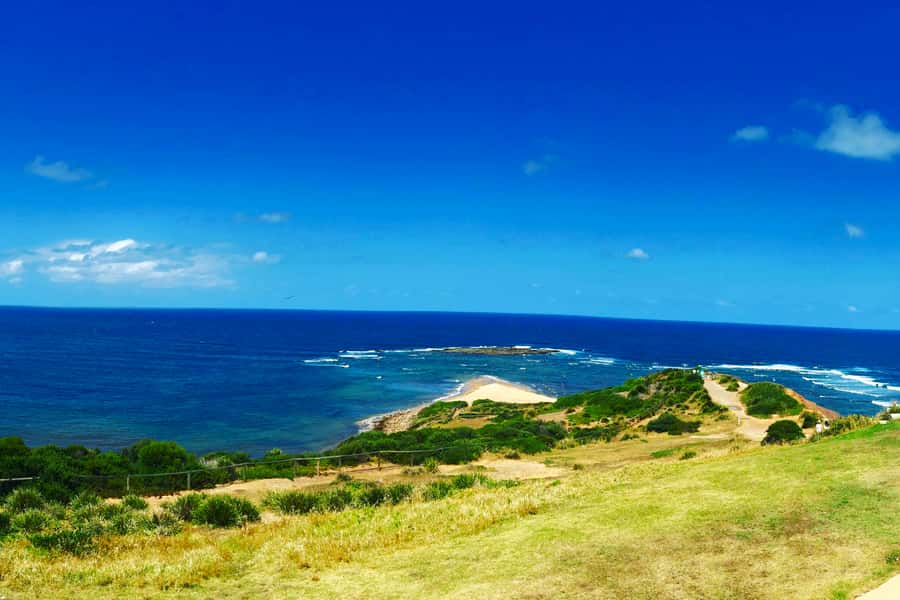 Sydney: Northern Beaches and Ku-ring-gai National Park Tour - Curl Curl and Freshwater’s surfing story