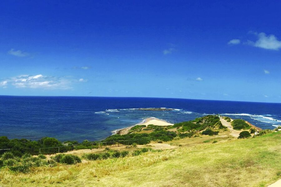 Sydney: Northern Beaches and Ku-ring-gai National Park Tour - What the $300 price really covers