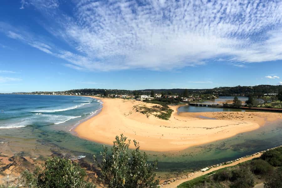 Sydney: Northern Beaches and Ku-ring-gai National Park Tour - Who should book this Northern Beaches tour