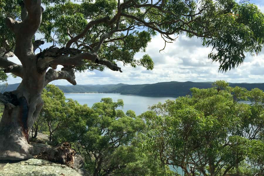 Sydney: Northern Beaches and Ku-ring-gai National Park Tour - West Head, Palm Beach, and the northern coast