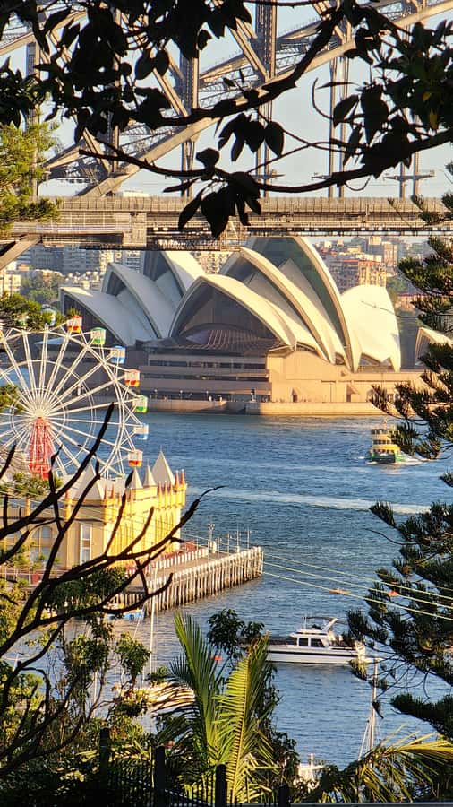 Sydney: Opera & Harbour Bridge Small-Group Kayak Tour - Meeting at Lavender Bay and getting set
