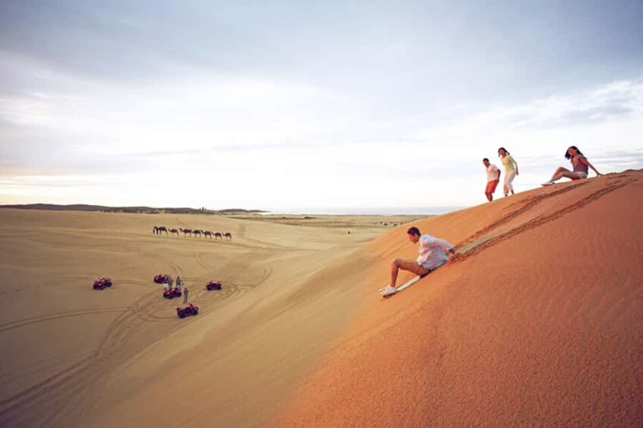 Sydney: Port Stephens Dolphin Cruise & Sandboarding Day Trip - Why Port Stephens makes a strong day trip from Sydney