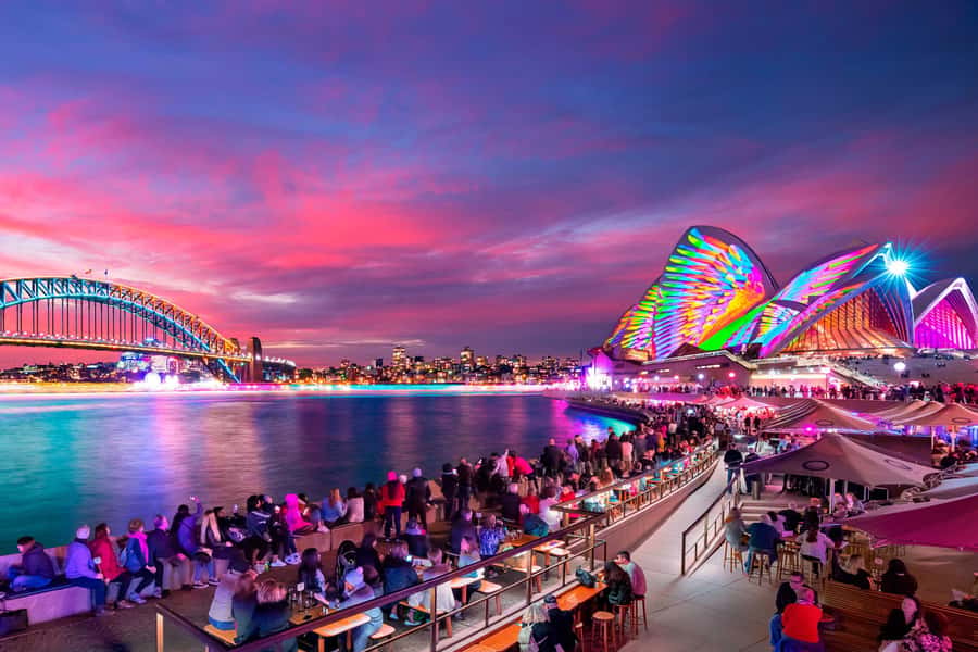 Sydney: Premium Catamaran Vivid Cruise with Welcome Drink - A 90-minute route through Sydney Harbour