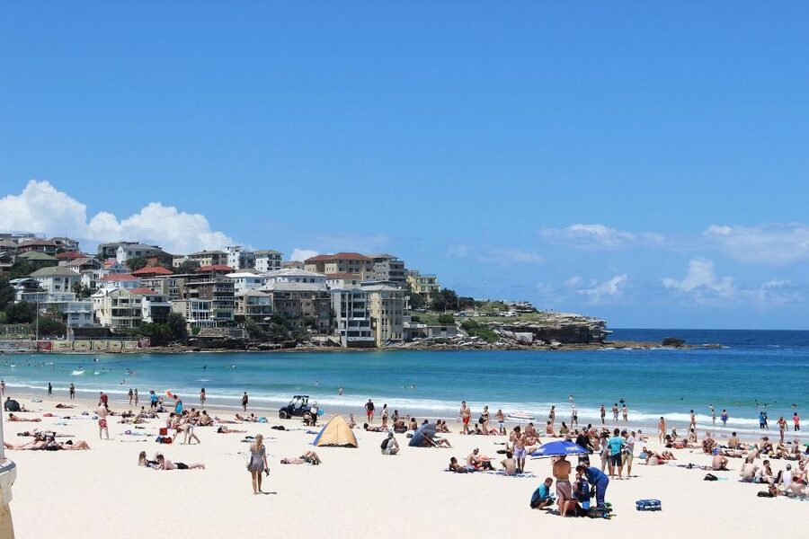 Sydney Private & Custom Walking Experience with a Local - Public transport lessons that keep paying off