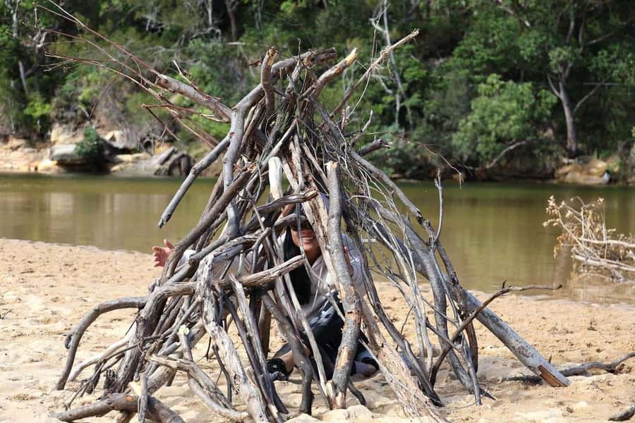 Sydney: Royal National Park private day tour - Key points to know before you book