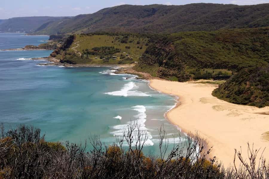 Sydney: Royal National Park private day tour - Why this private Royal National Park day works