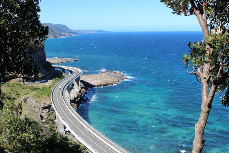 Sydney: Royal National Park private day tour - Lunch in the park keeps the day simple