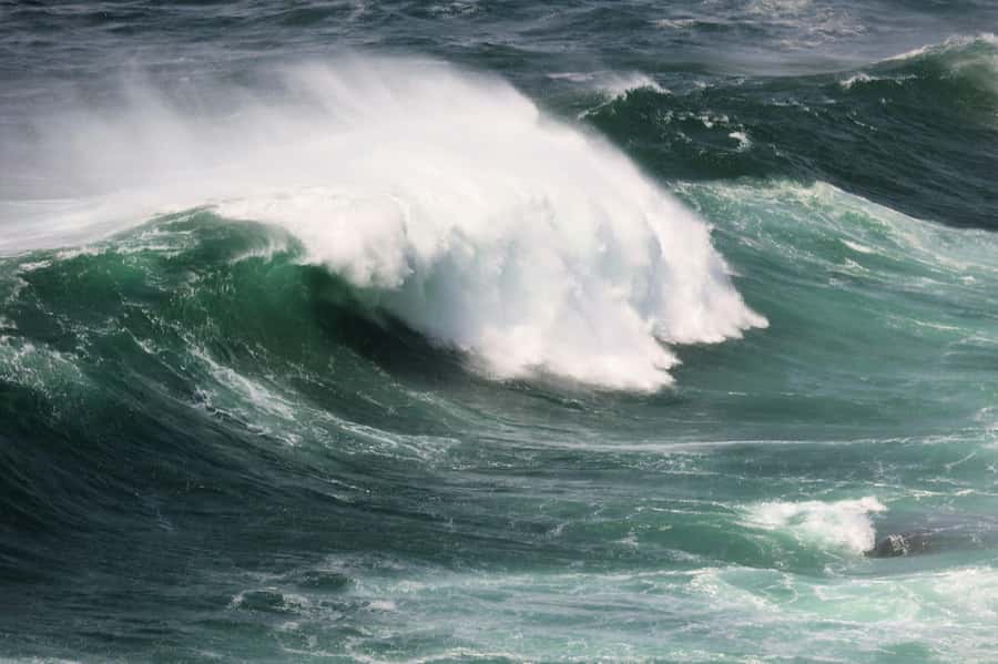 Sydney: Royal National Park private day tour - Bald Hill brings big southern views
