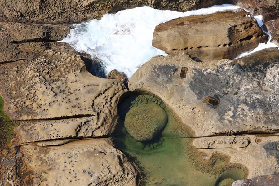 Sydney: Royal National Park private day tour - Sea Cliff Bridge is more than a drive-by photo stop