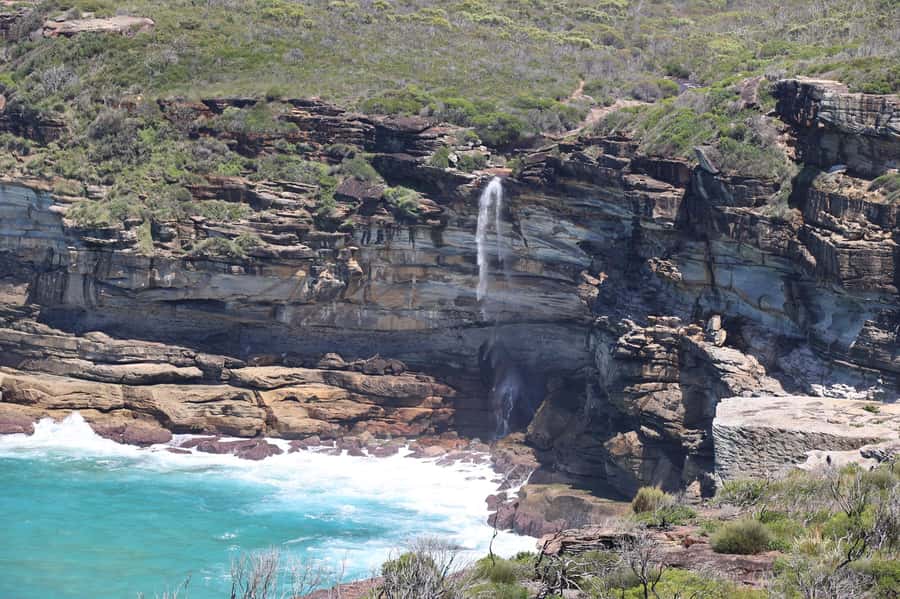 Sydney: Royal National Park private day tour - Should you add Symbio Wildlife Park?