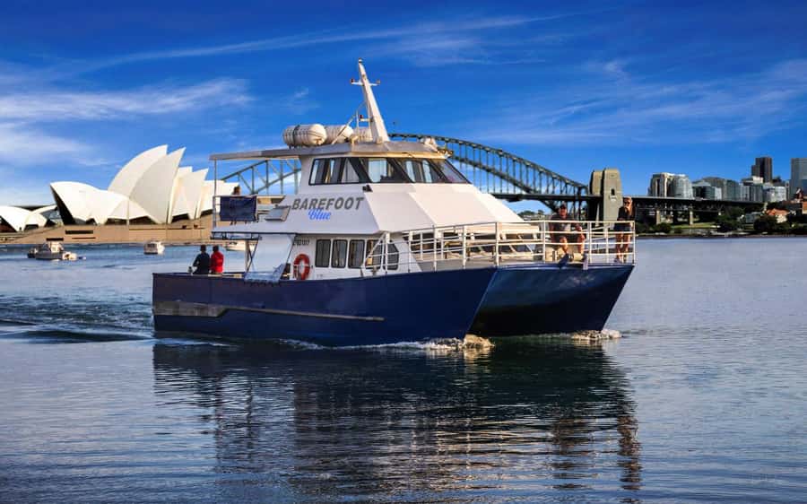 Sydney: Scenic Whale Watching Cruise - Whales Guaranteed - Photographs, Videos, and the Memory of the Trip