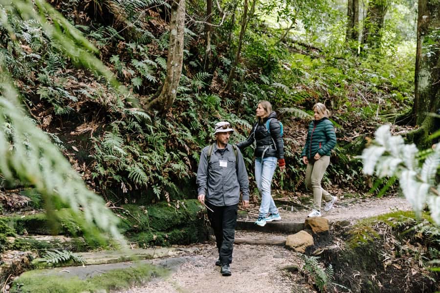 Sydney: Small Group Blue Mountains, Wildlife & Waterfalls - Key points at a glance