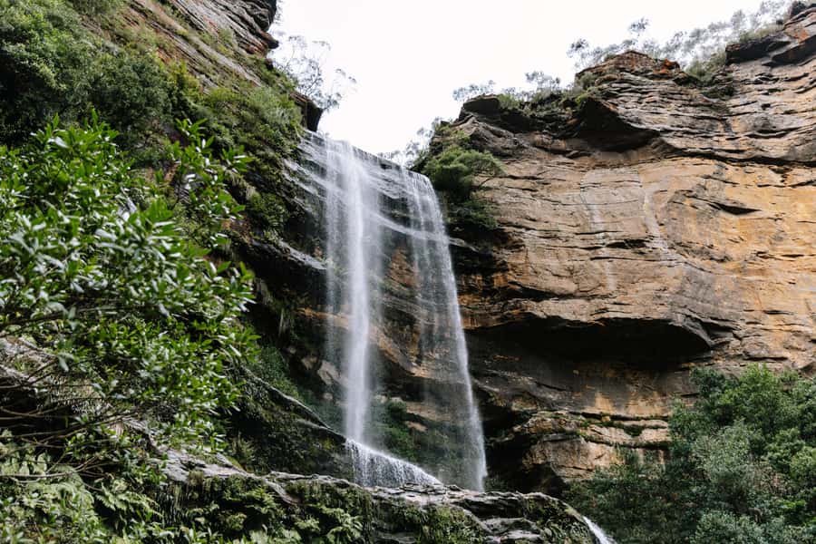 Sydney: Small Group Blue Mountains, Wildlife & Waterfalls - Why this Blue Mountains day works so well