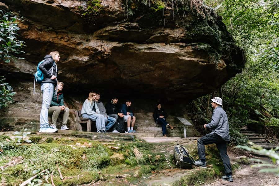 Sydney: Small Group Blue Mountains, Wildlife & Waterfalls - The mini-coach, timing and group feel