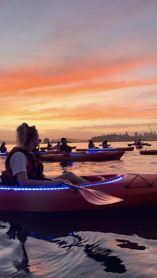 Sydney: Sunrise Kayak, Opera House & Under Harbour Bridge - Practical tips for a smoother morning