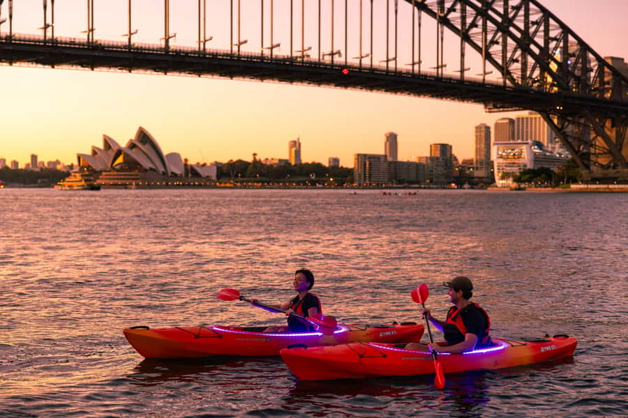 Sydney: Sunrise Kayak, Opera House & Under Harbour Bridge - The first paddle: city views before the harbour wakes