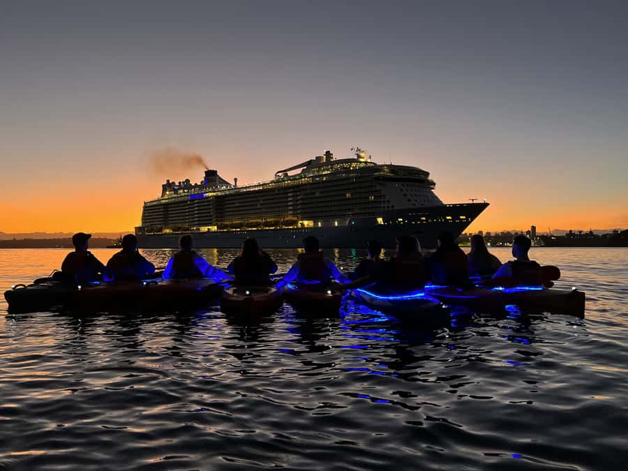 Sydney: Sunrise Kayak, Opera House & Under Harbour Bridge - What a group of up to 26 paddlers feels like