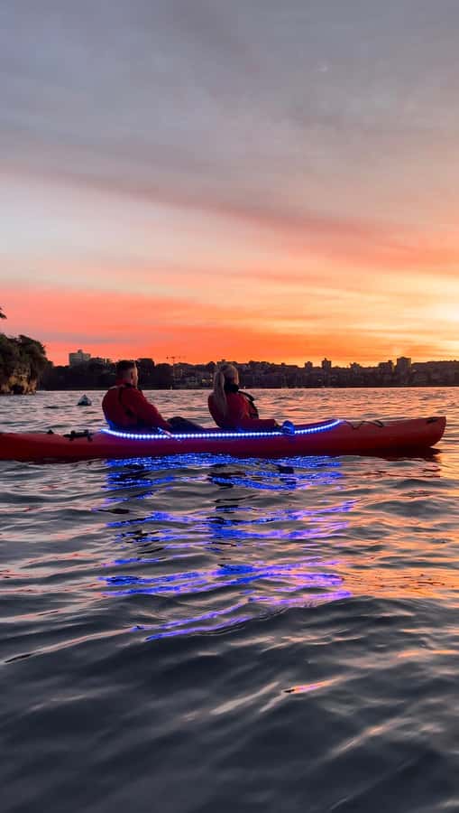Sydney: Sunrise Kayak, Opera House & Under Harbour Bridge - Breakfast and coffee at Flying Bear Café