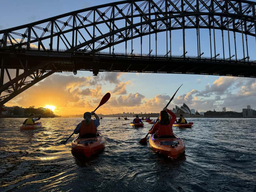 Sydney: Sunrise Kayak, Opera House & Under Harbour Bridge - Who will enjoy this kayak tour most