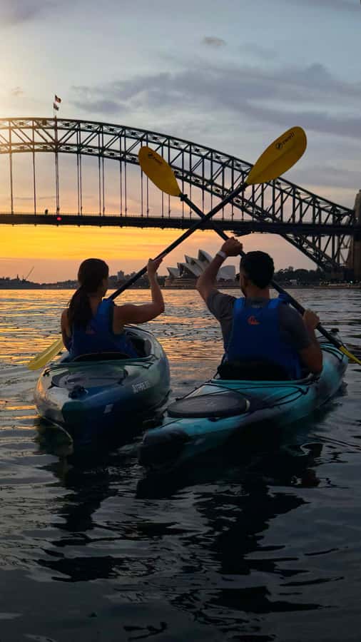 Sydney Sunrise Kayak Tour on Sydney Harbour - Key points to know before booking