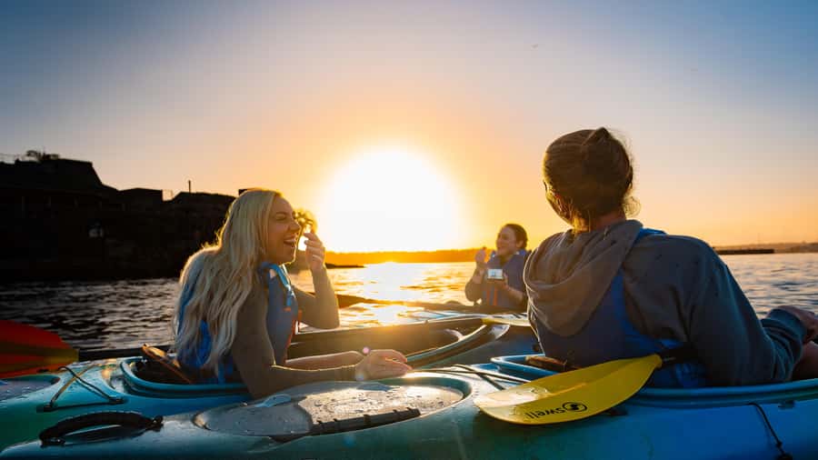 Sydney Sunrise Kayak Tour on Sydney Harbour - Is $106 good value?
