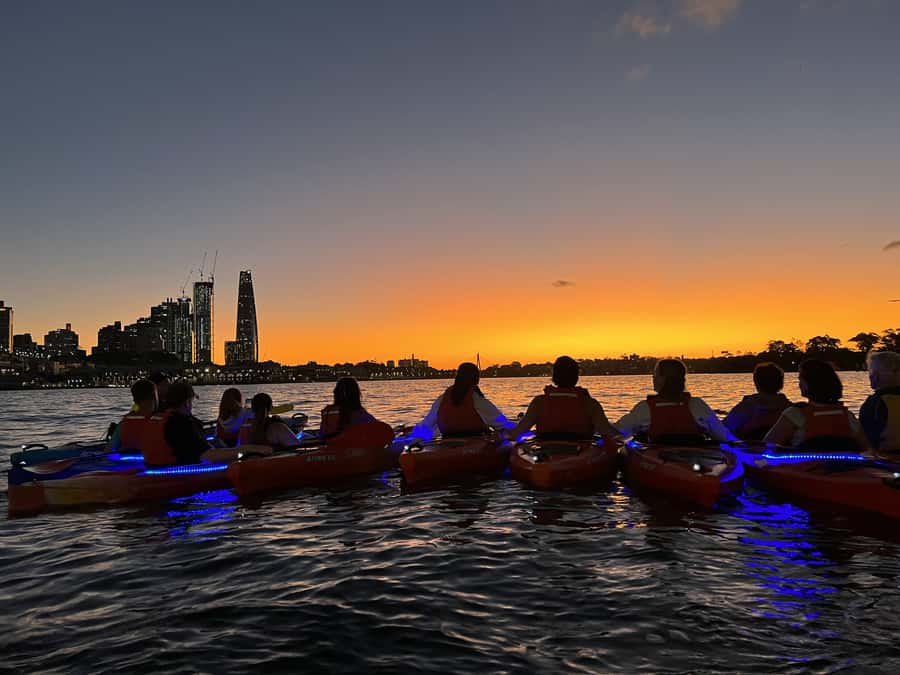Sydney: Sunset Kayak Tour on Sydney Harbour - Starting at Lavender Bay Boat Ramp