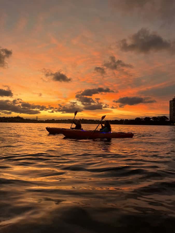 Sydney: Sunset Kayak Tour on Sydney Harbour - The Guides Set the Tone
