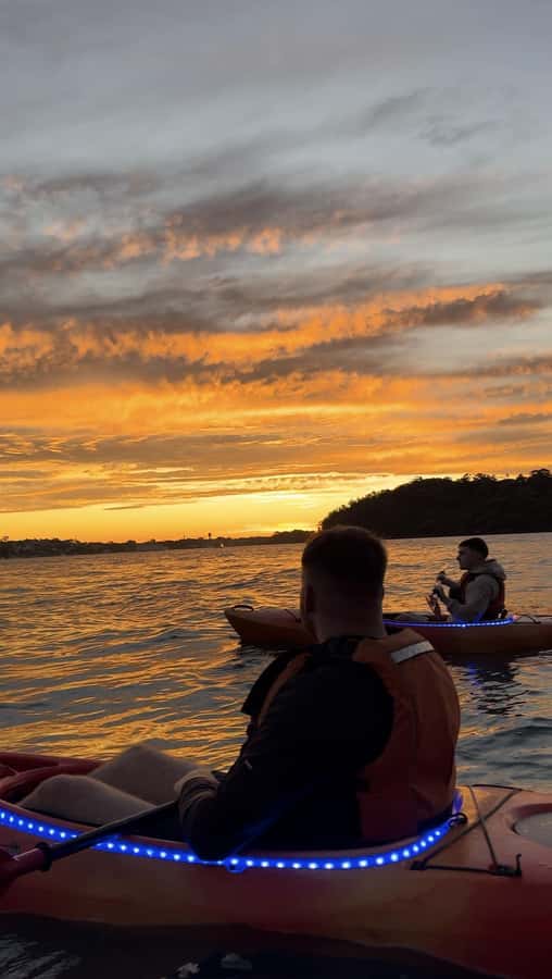 Sydney: Sunset Kayak Tour on Sydney Harbour - Is $105 a Fair Price?