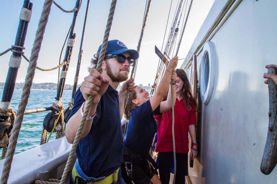 Sydney: Tall Ship Harbour Twilight Dinner Cruise - Who should book this cruise