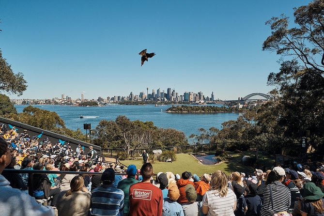 Sydney Taronga Zoo General Entry Ticket - Exploring the themed areas