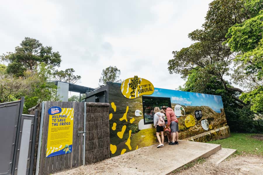 Sydney: Taronga Zoo Tickets - Australian Walkabout: begin with local wildlife