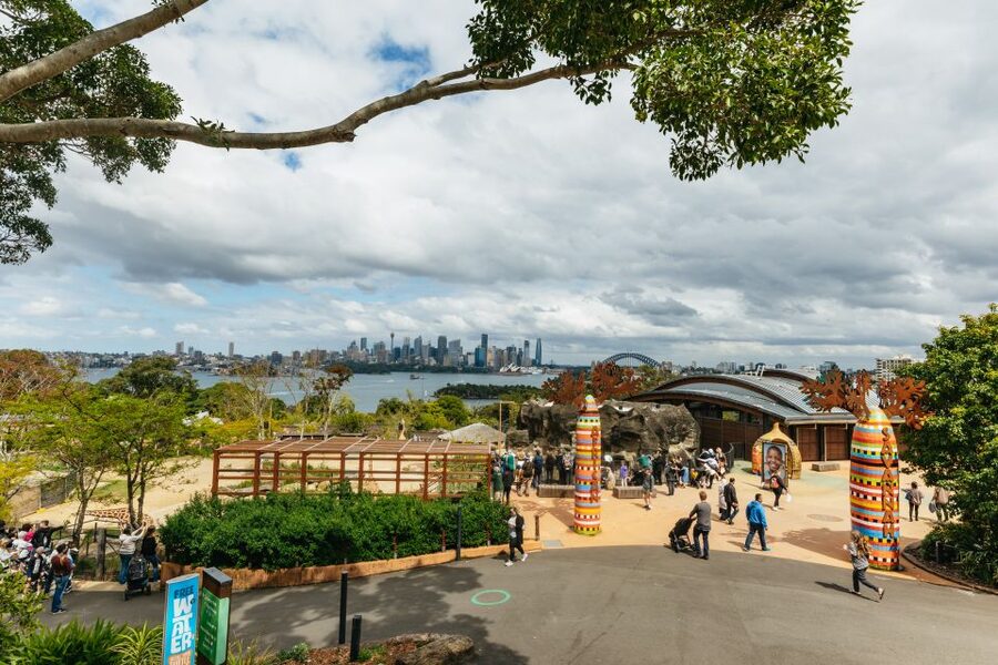 Sydney: Taronga Zoo Tickets - African Savannah and the harbour-view giraffes