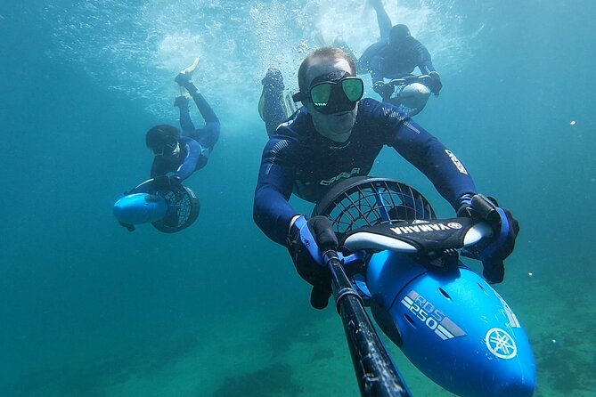 sydney underwater scooter tours - What the Clovelly scooter experience is really like
