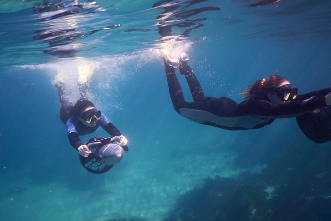 sydney underwater scooter tours - Why a scooter changes ordinary snorkeling