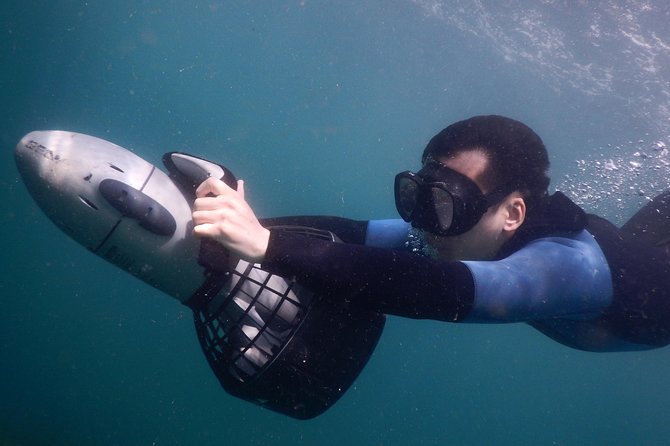 sydney underwater scooter tours - Who should choose this tour