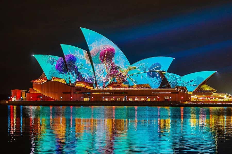 Sydney: Vivid Harbour Cruise with Canapes - Key points to know before booking