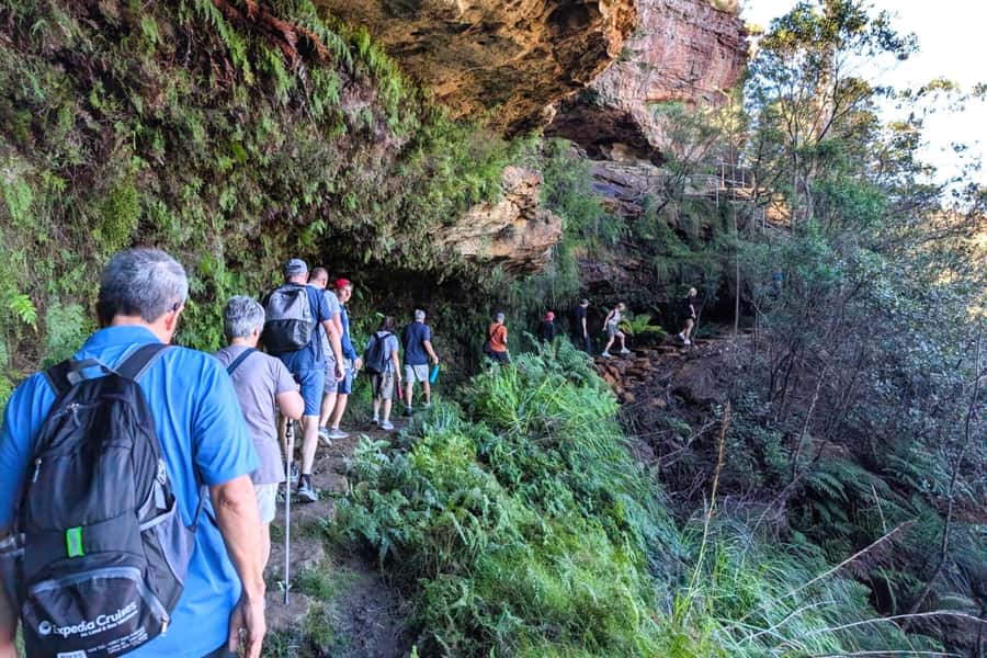Sydney: Waterfall Bushwalk and Blue Mountain Sunset Day Trip - Entering Blue Mountains National Park
